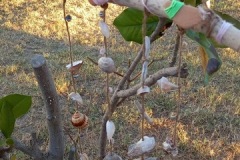 image10